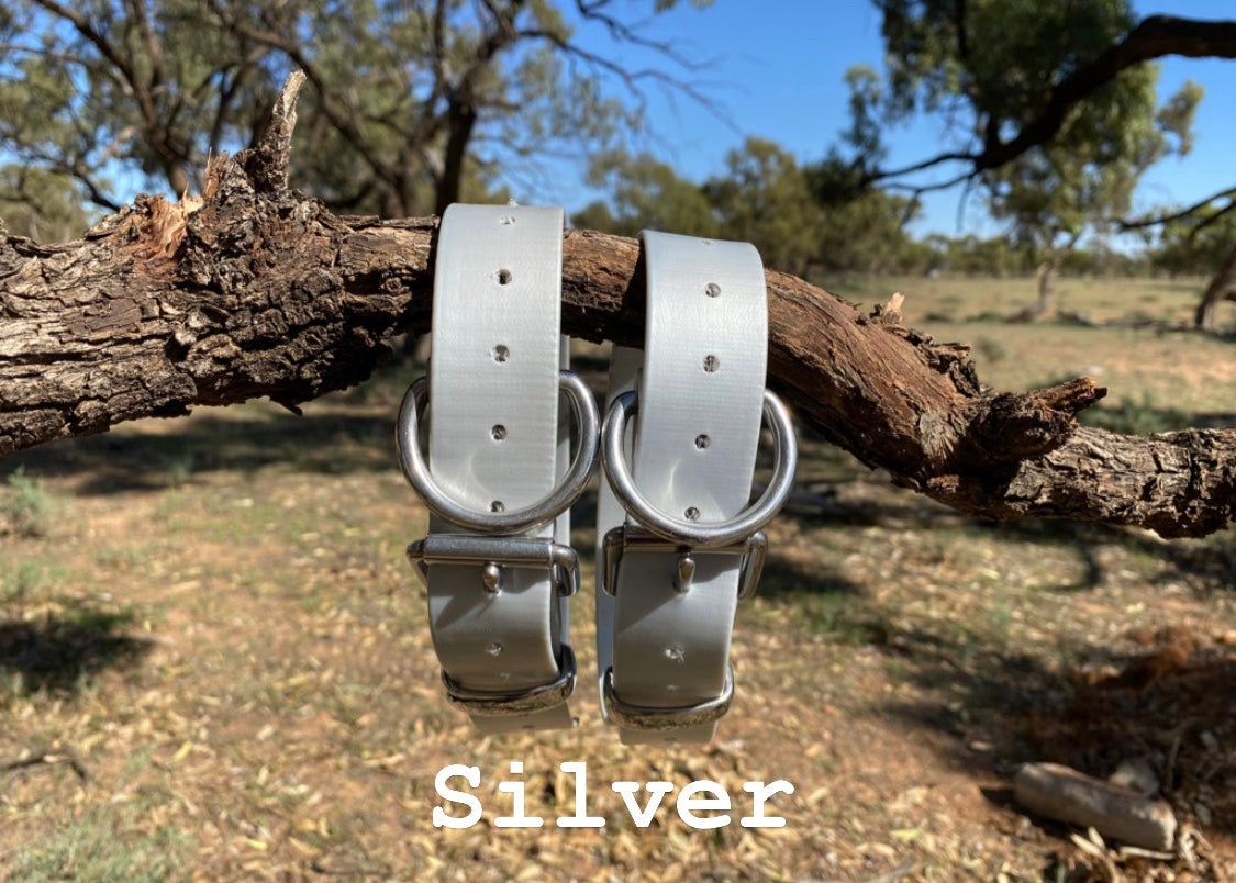 The Big Fella - 32mm XL PVC Dog Collar
