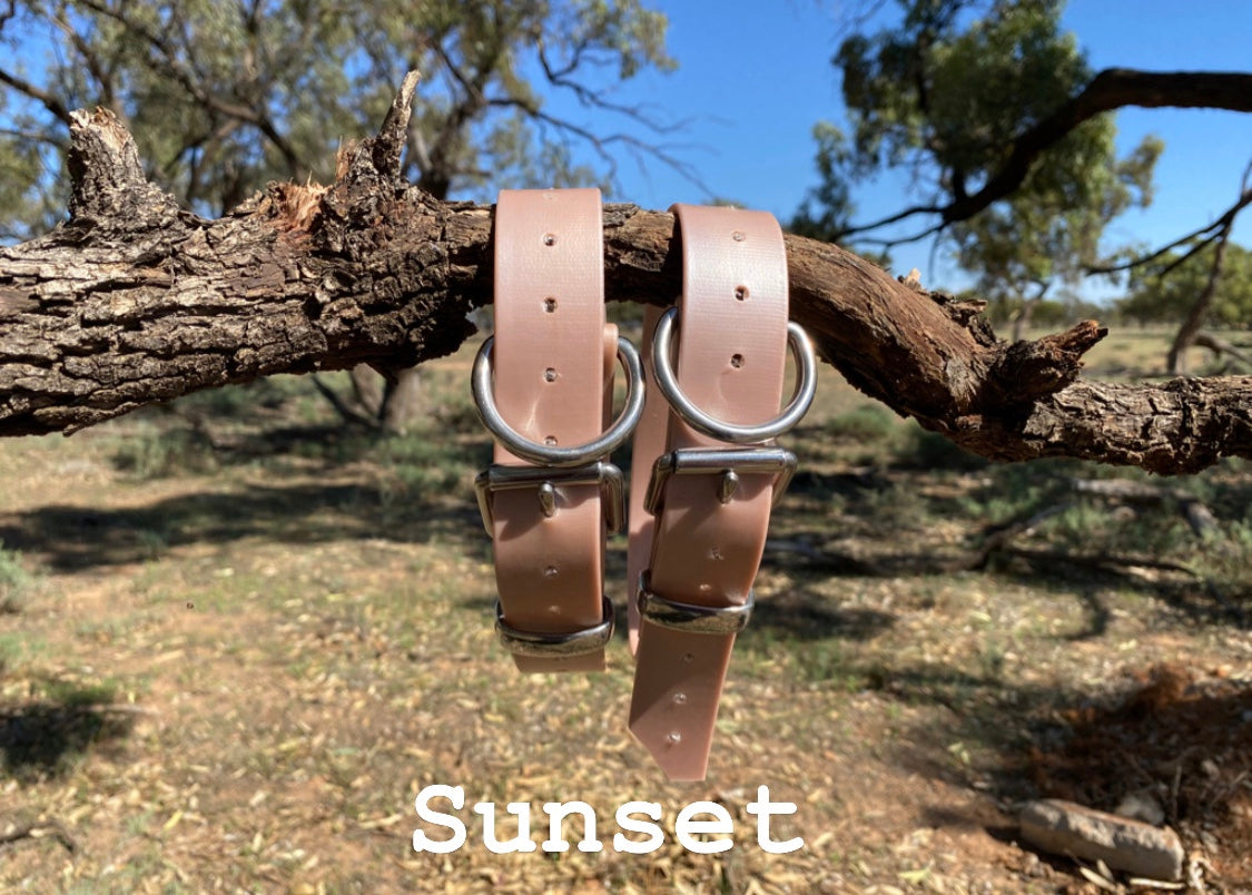 The Big Fella - 32mm XL PVC Dog Collar