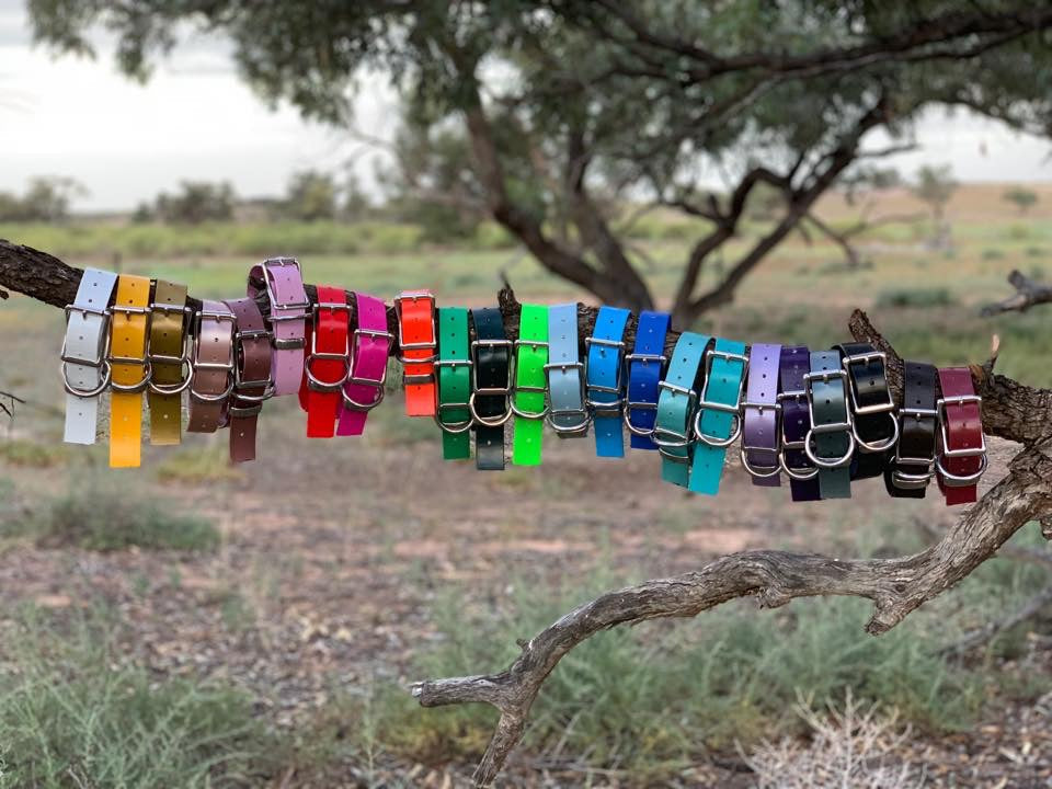 The Big Fella - 32mm XL PVC Dog Collar