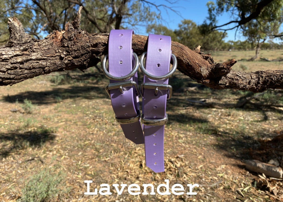 The Big Fella - 32mm XL PVC Dog Collar