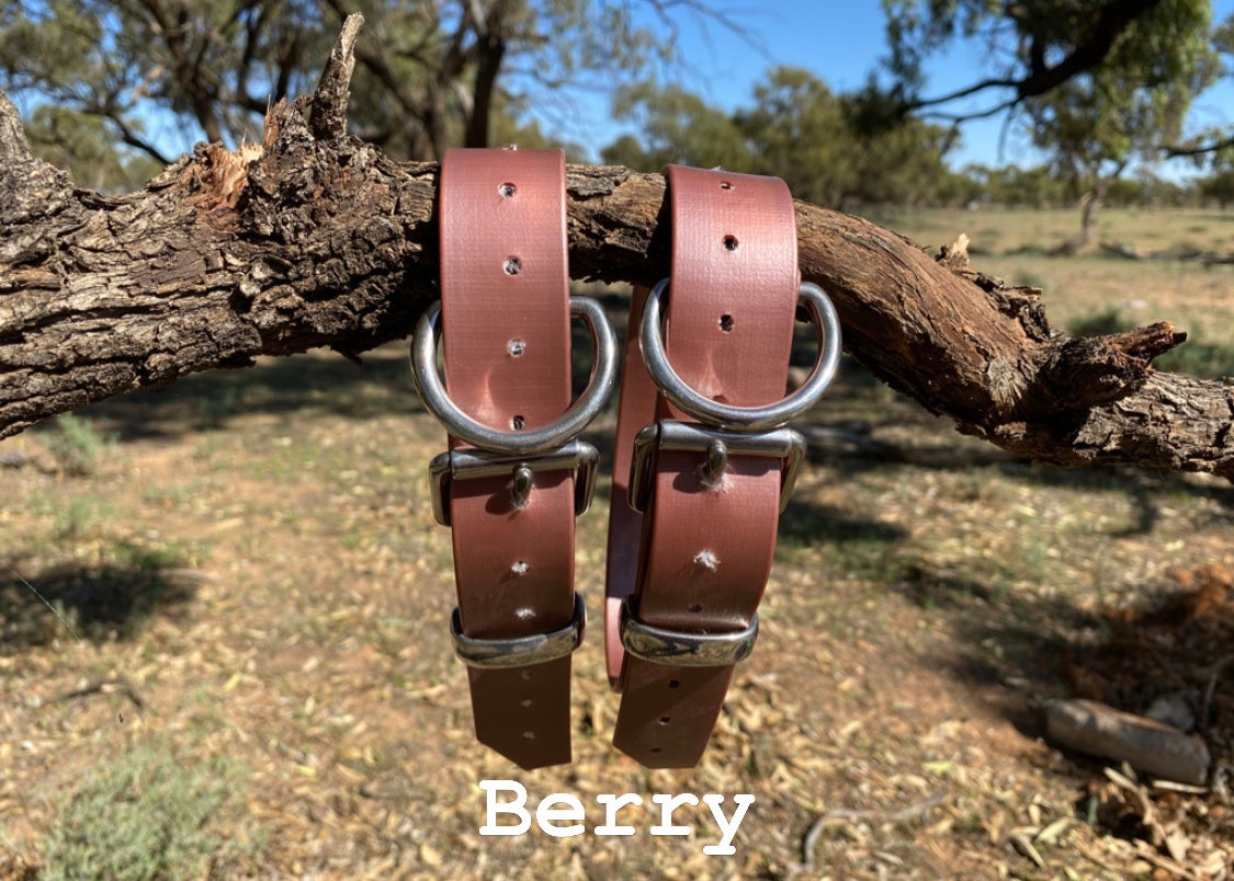The Big Fella - 32mm XL PVC Dog Collar