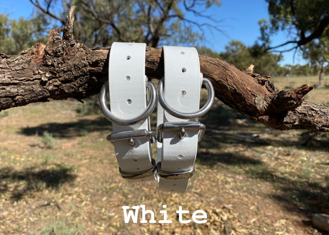 The PupMate - 16mm PVC Dog Collar