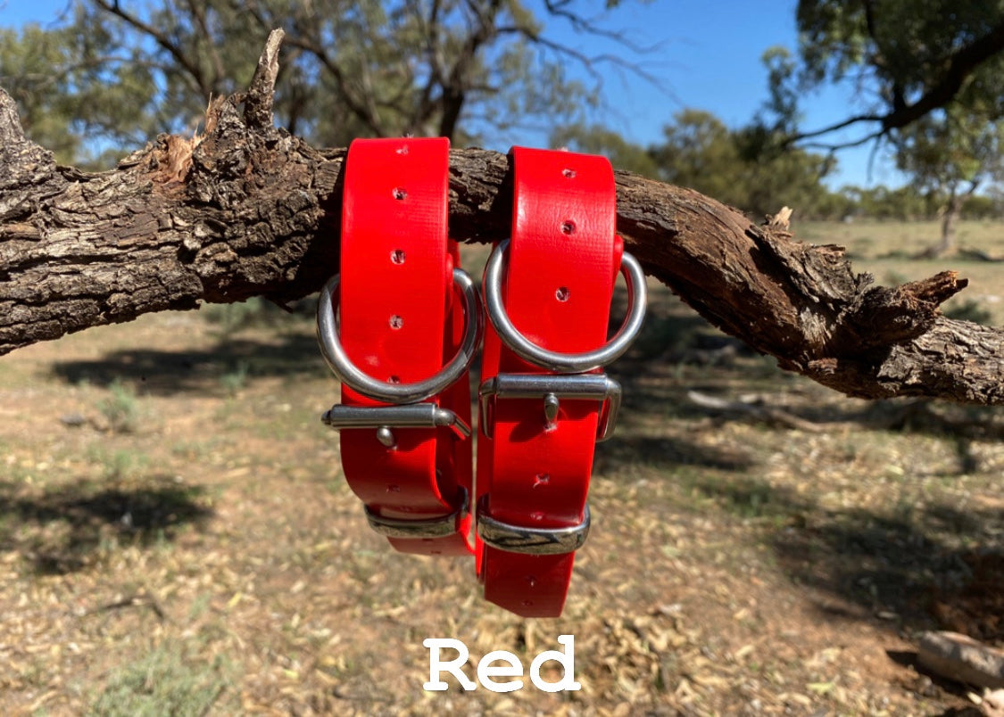 The Big Fella - 32mm XL PVC Dog Collar