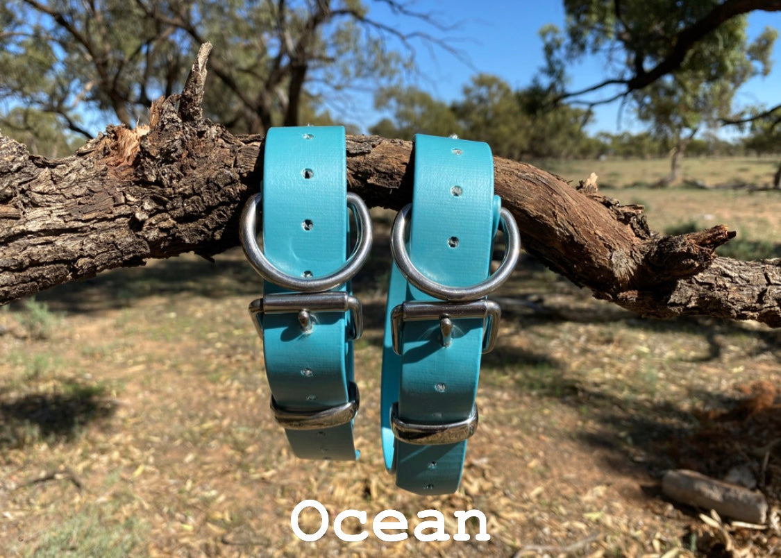 The Big Fella - 32mm XL PVC Dog Collar