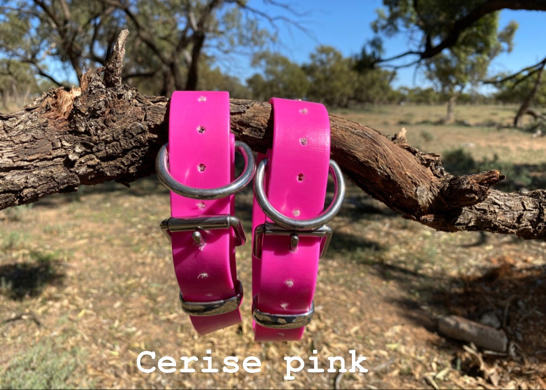 The Big Fella - 32mm XL PVC Dog Collar