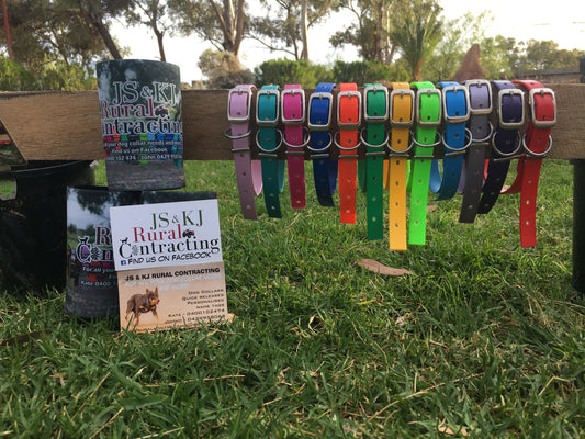 The PupMate - 16mm PVC Dog Collar