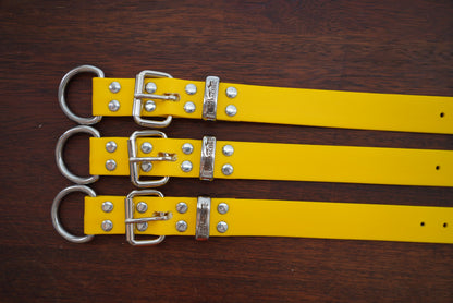 The Big Fella - 32mm XL PVC Dog Collar