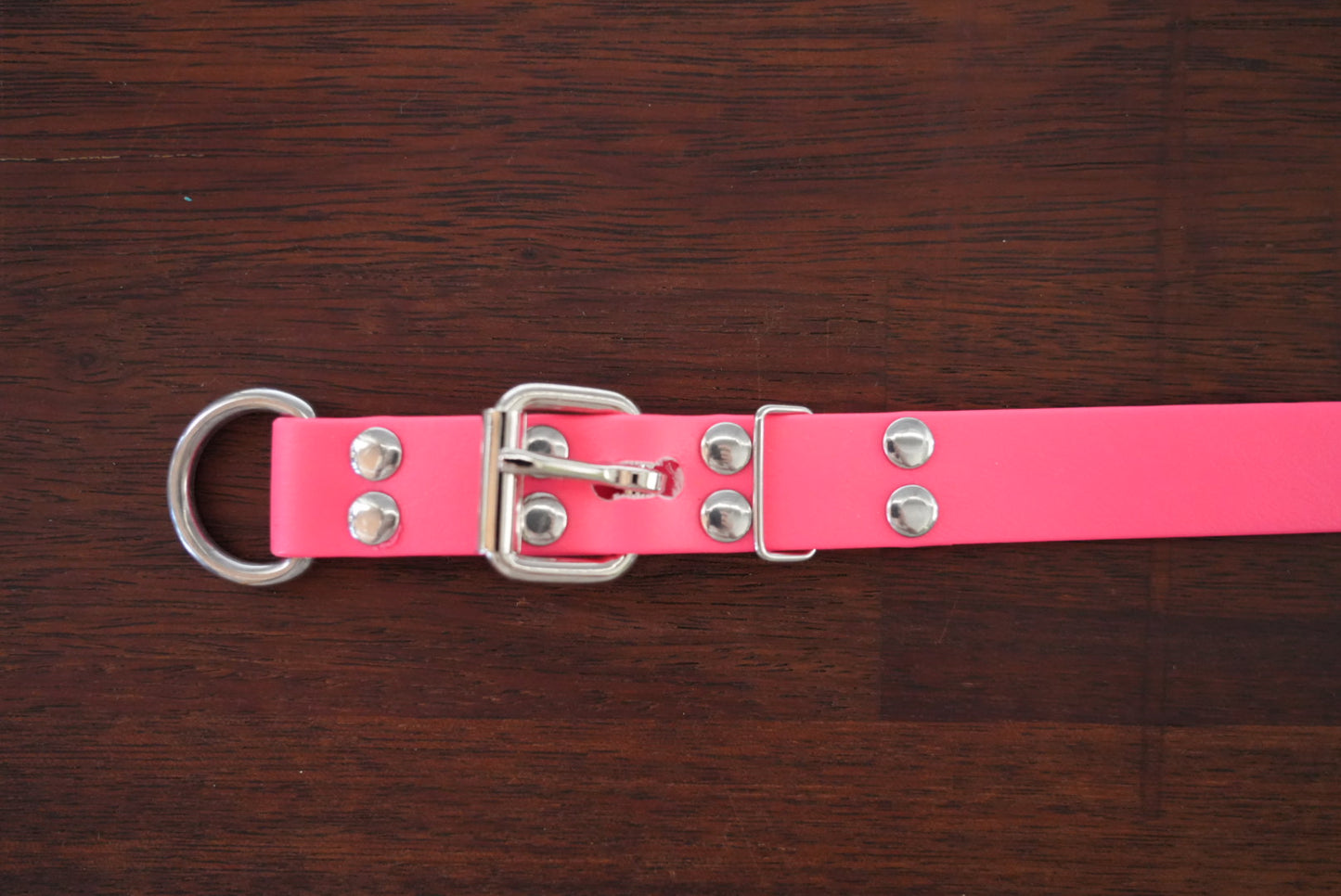 The Workmate – 25mm PVC Dog Collar