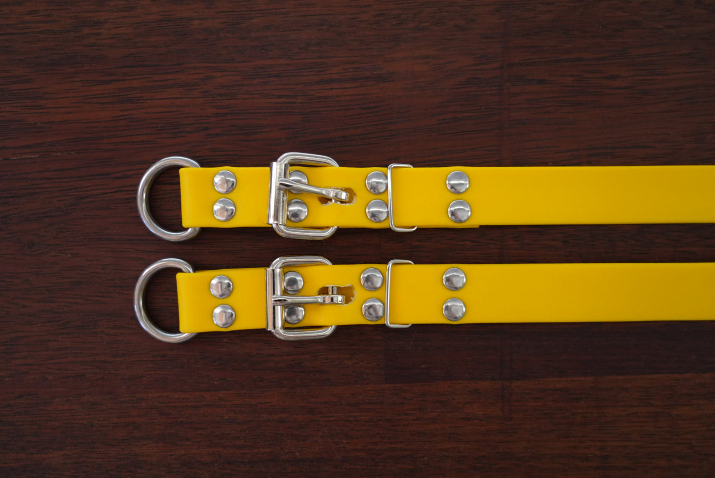 The Workmate – 25mm PVC Dog Collar