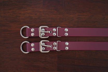 The Workmate – 25mm PVC Dog Collar