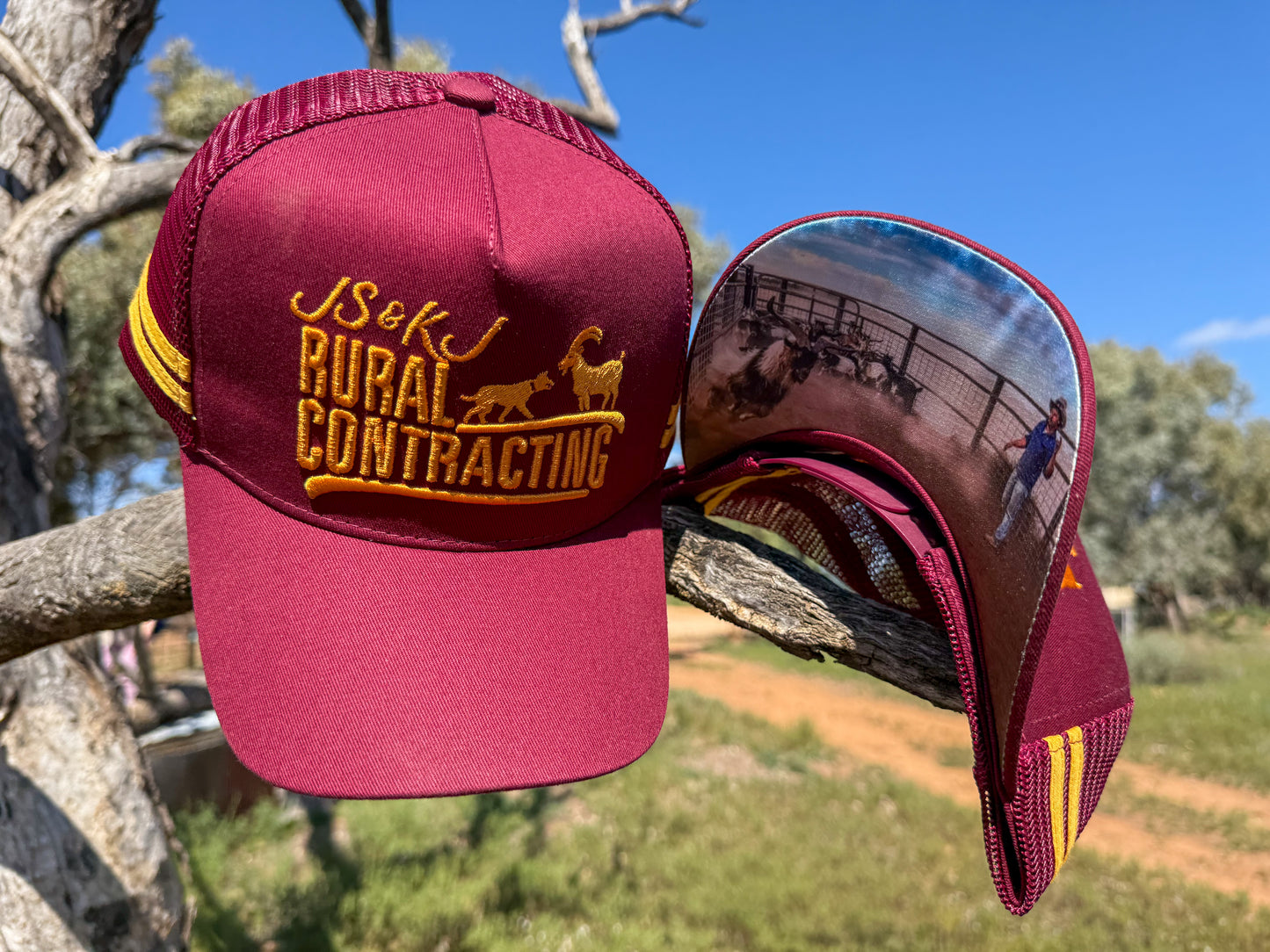 The Maroon & Gold
