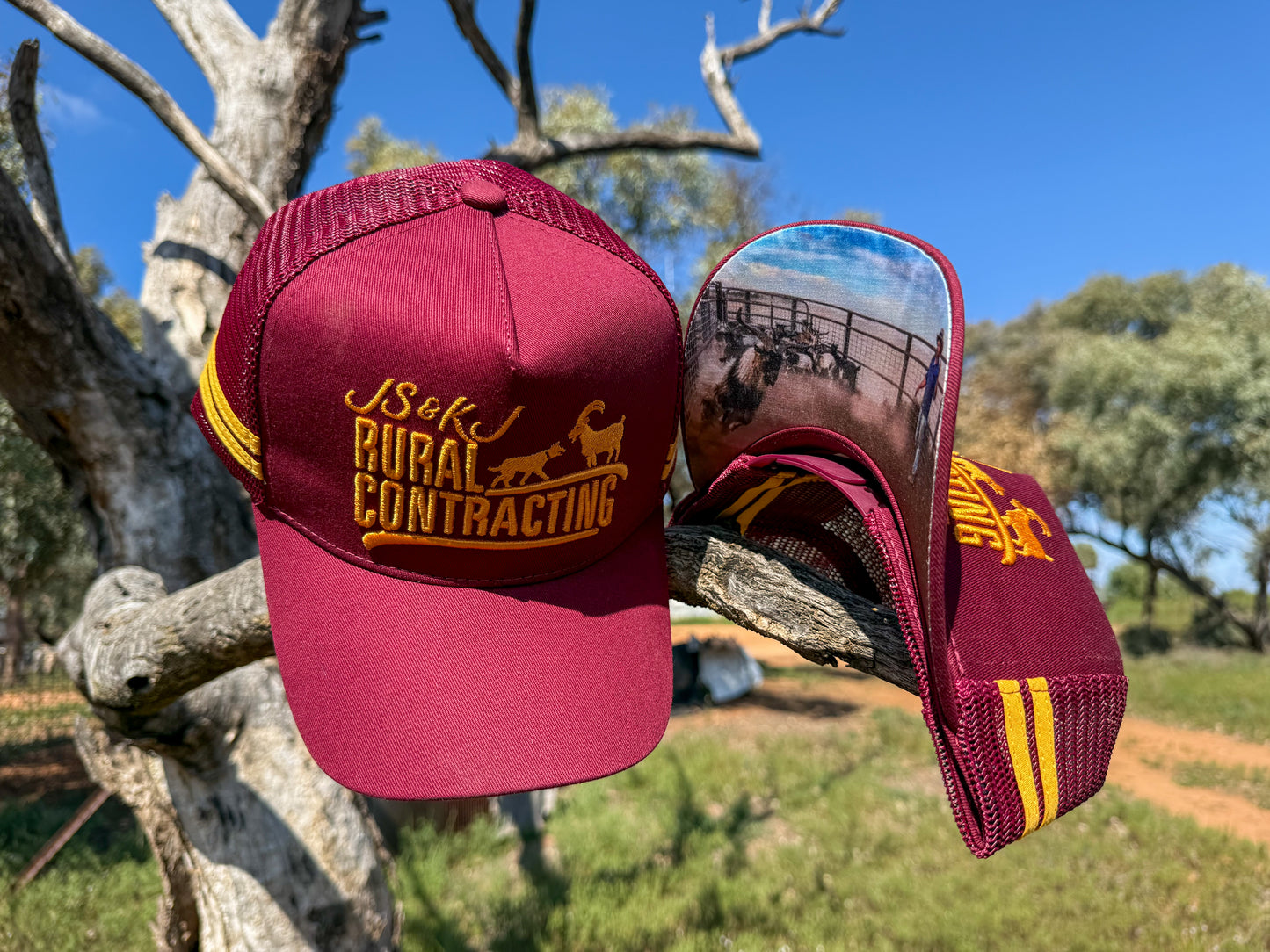 The Maroon & Gold