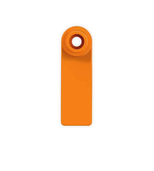 Mini personalised tag