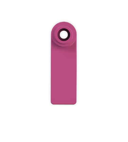Mini personalised tag