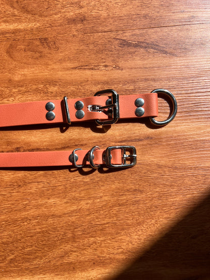 PVC - 16mm small dog/puppy collar.