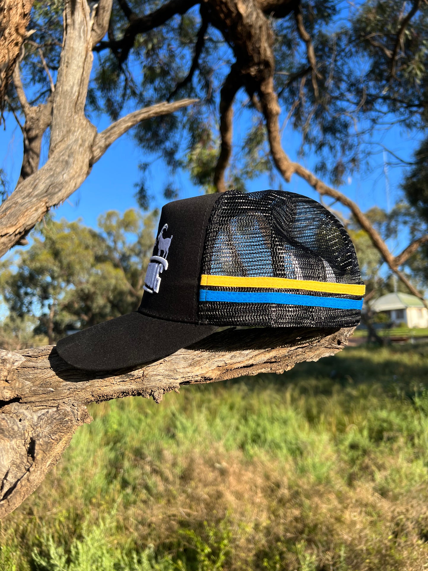 Blue & Black hat