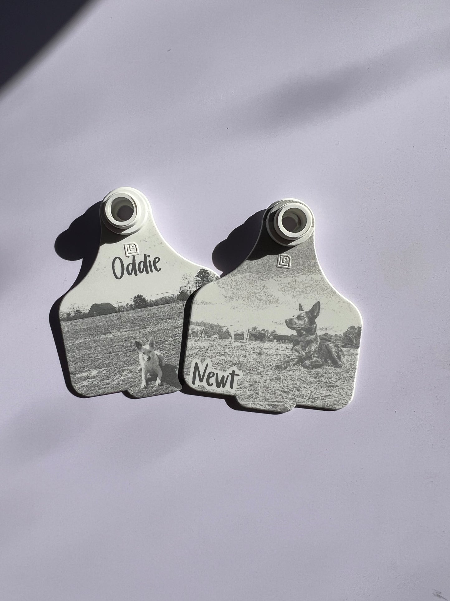 Personalised cattle tag