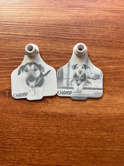 Personalised cattle tag