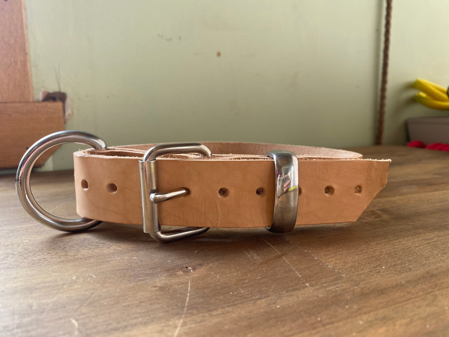 leather collar.