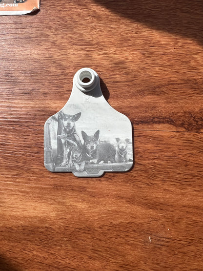 Personalised cattle tag