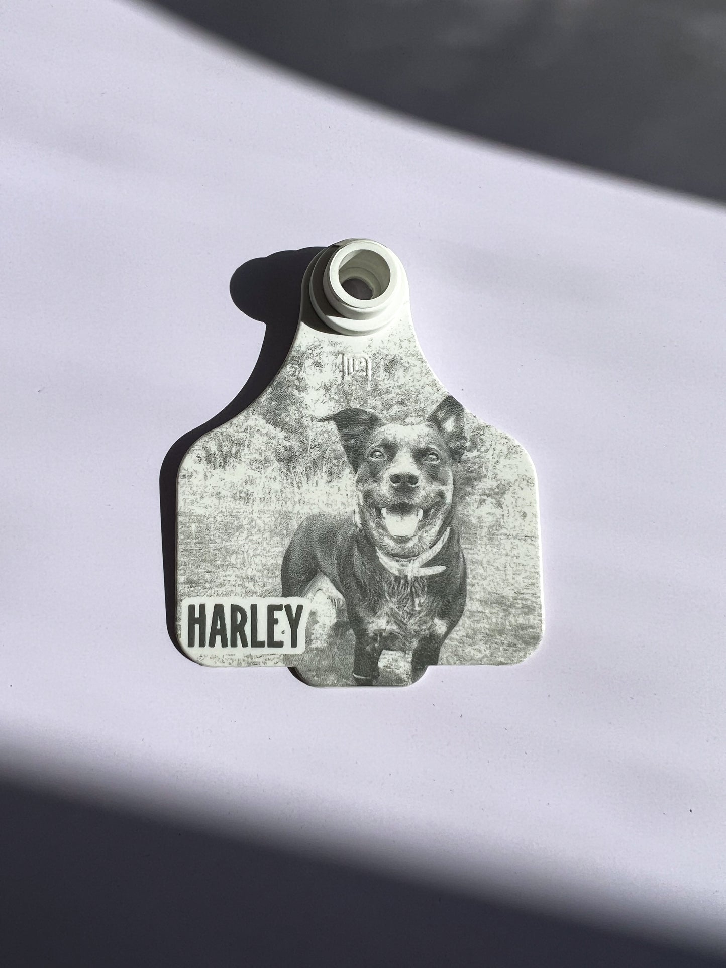 Personalised cattle tag