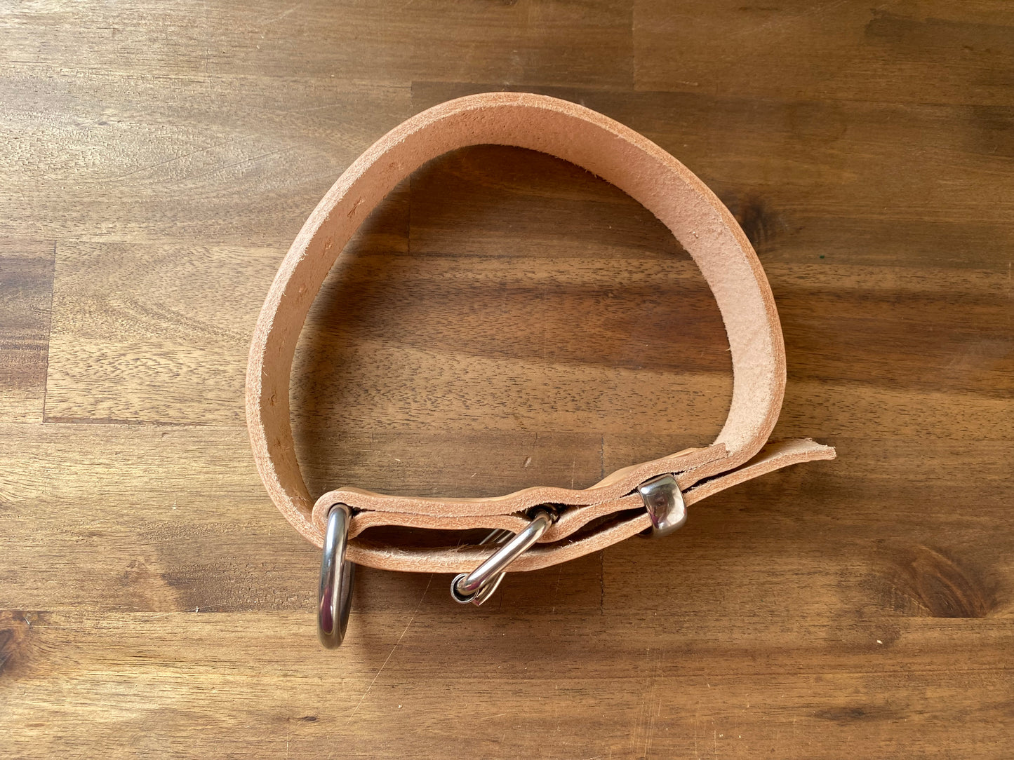 leather collar.