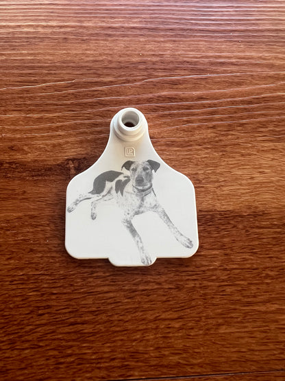 Personalised cattle tag