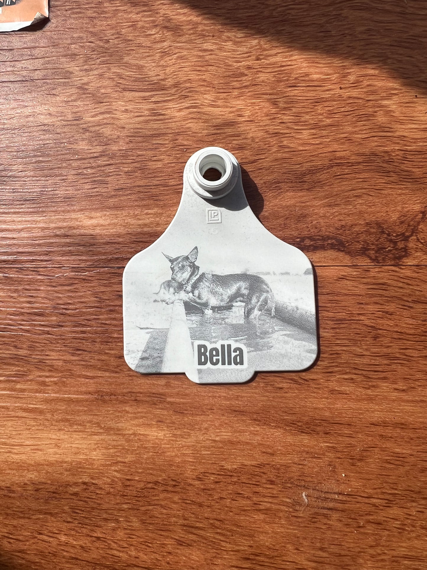 Personalised cattle tag