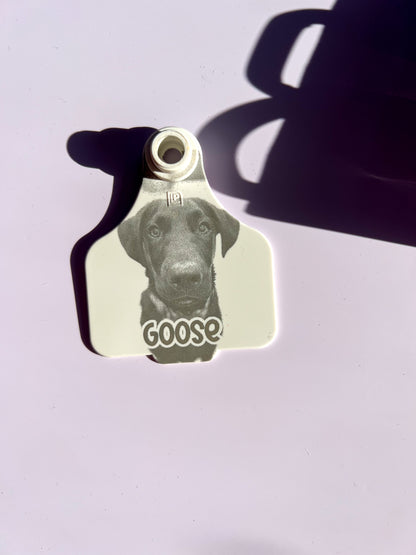 Personalised cattle tag