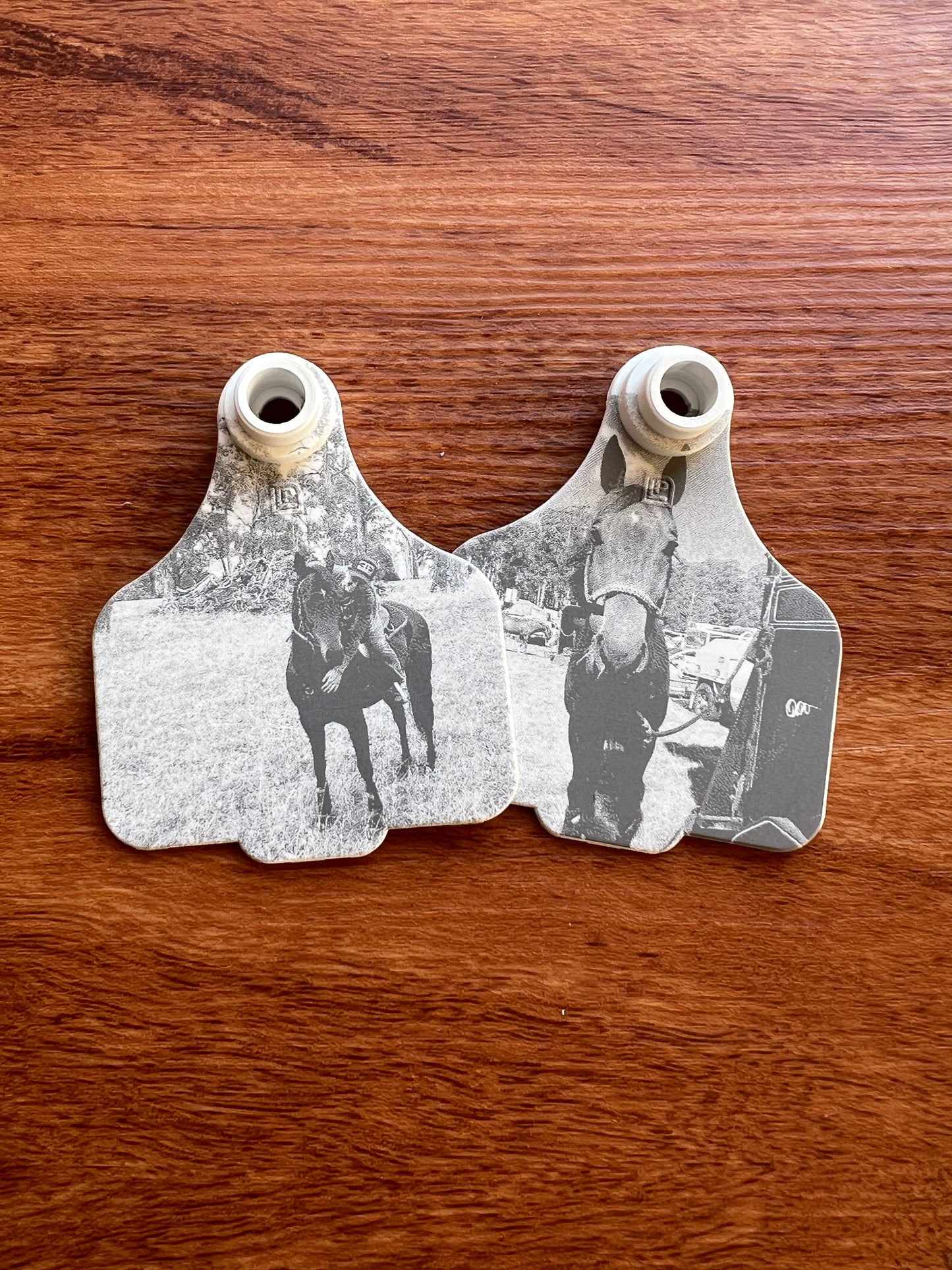 Personalised cattle tag