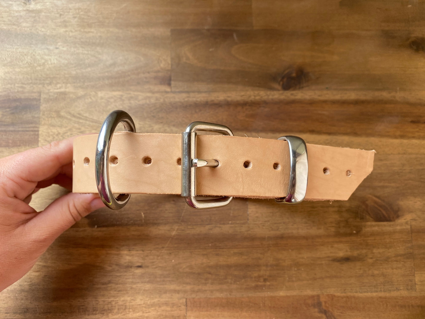 leather collar.