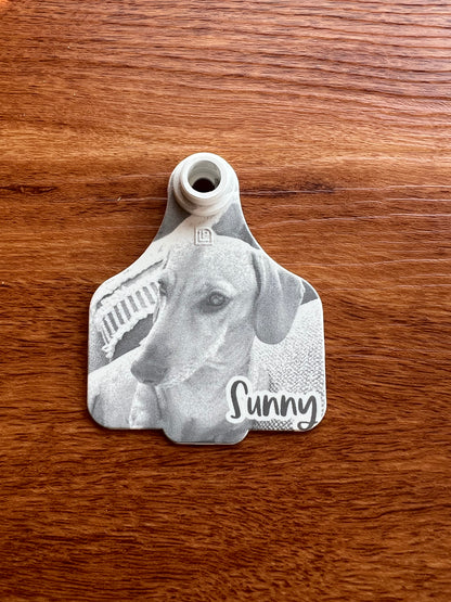 Personalised cattle tag