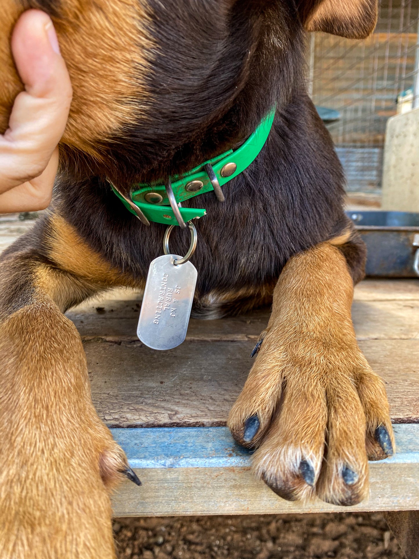 Personalised name tags with heavy duty key ring