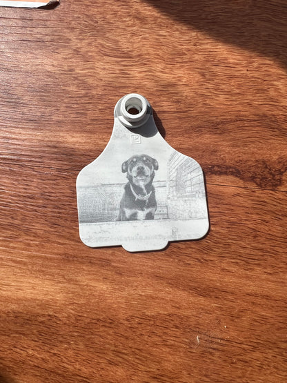 Personalised cattle tag