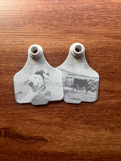 Personalised cattle tag