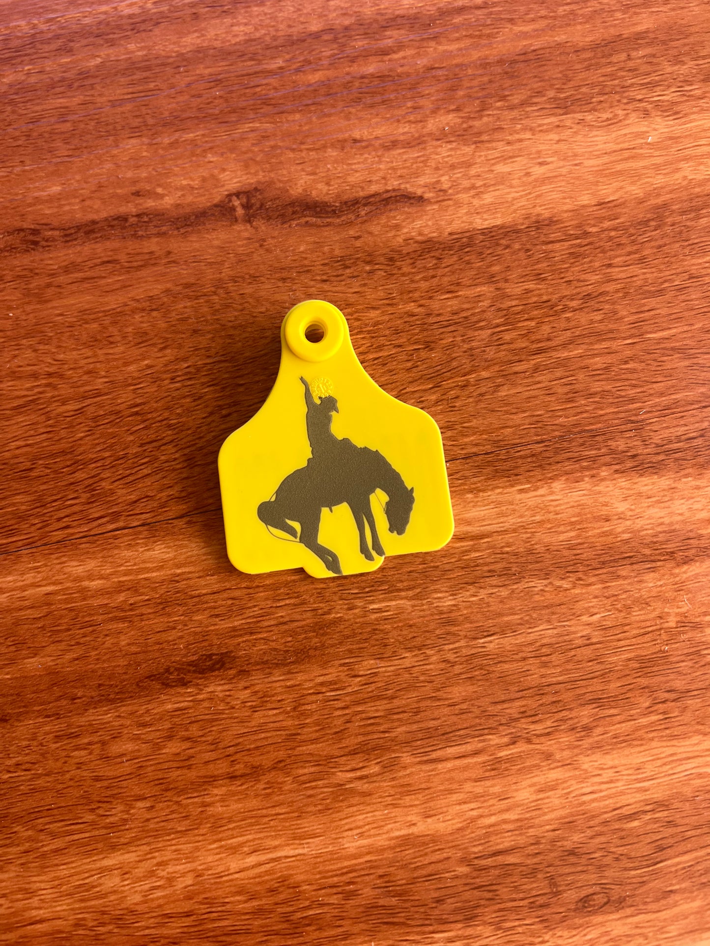 Personalised cattle tag